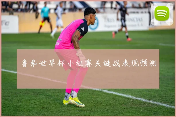 鲁弗世界杯小组赛关键战表现预测