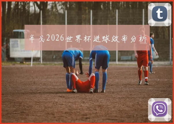 辛戈2026世界杯进球效率分析