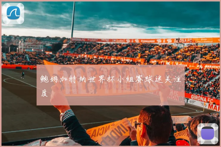 鲍姆加特纳世界杯小组赛球迷关注度