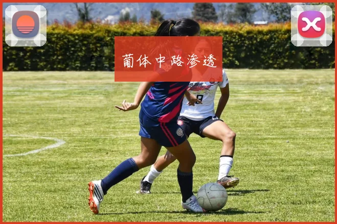 葡体中路渗透
