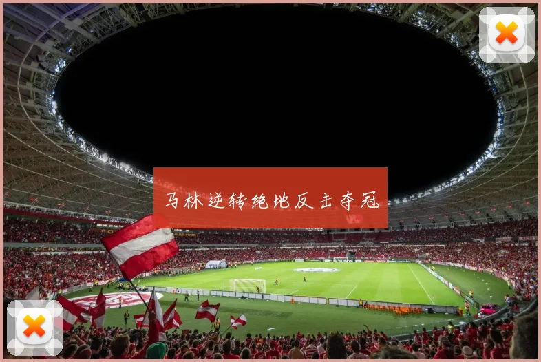 马林逆转绝地反击夺冠