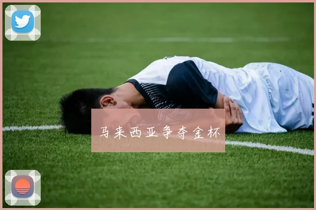 马来西亚争夺金杯