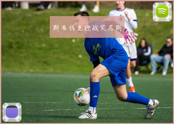 斯洛伐克迎战突尼斯
