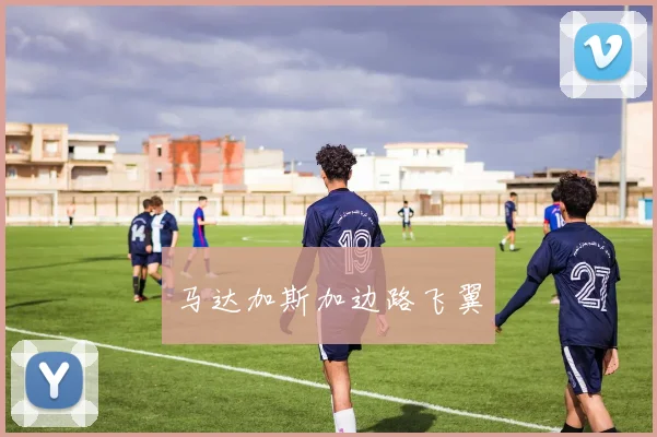 马达加斯加边路飞翼
