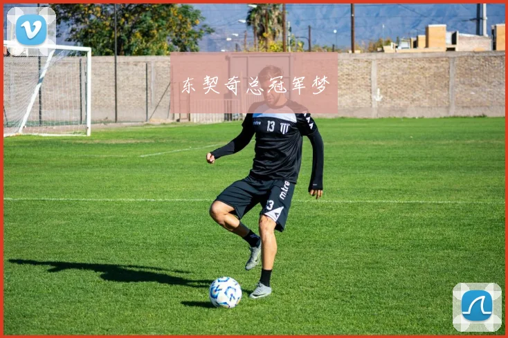 东契奇总冠军梦