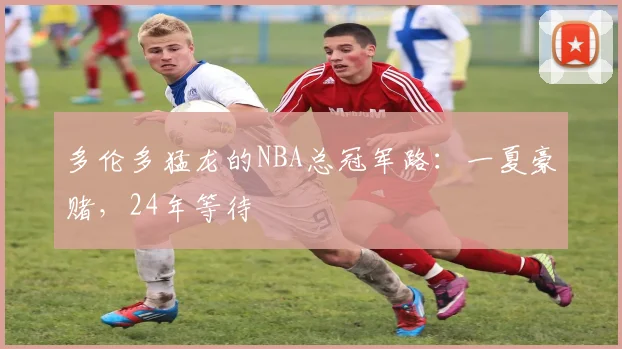 多伦多猛龙的NBA总冠军路：一夏豪赌，24年等待