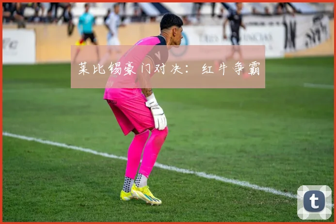 莱比锡豪门对决：红牛争霸