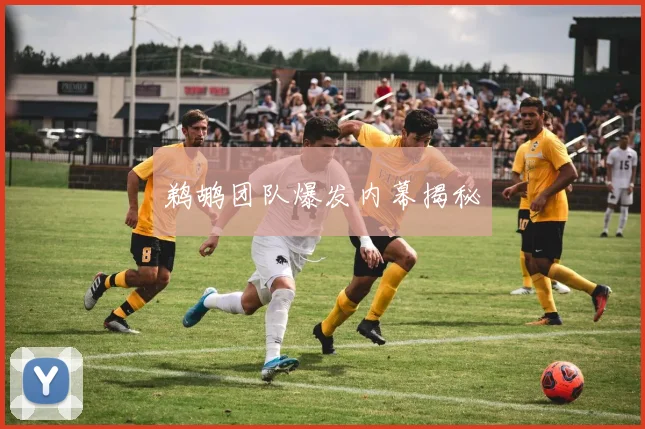 鹈鹕团队爆发内幕揭秘