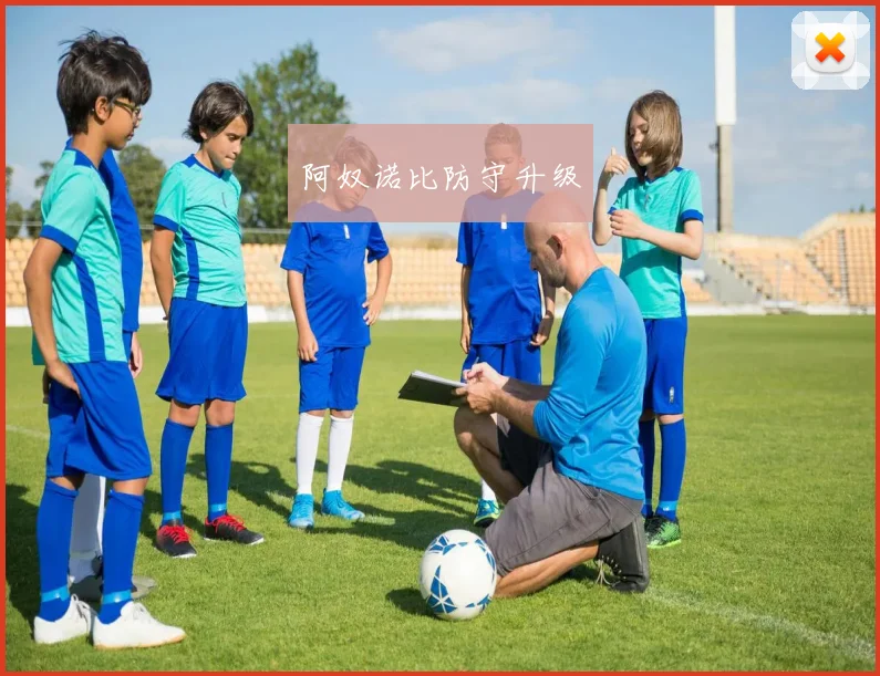 阿奴诺比防守升级