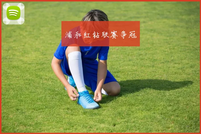 浦和红钻联赛争冠