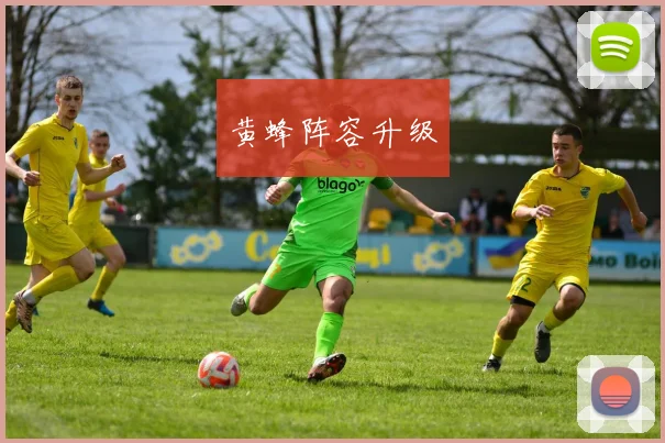 黄蜂阵容升级