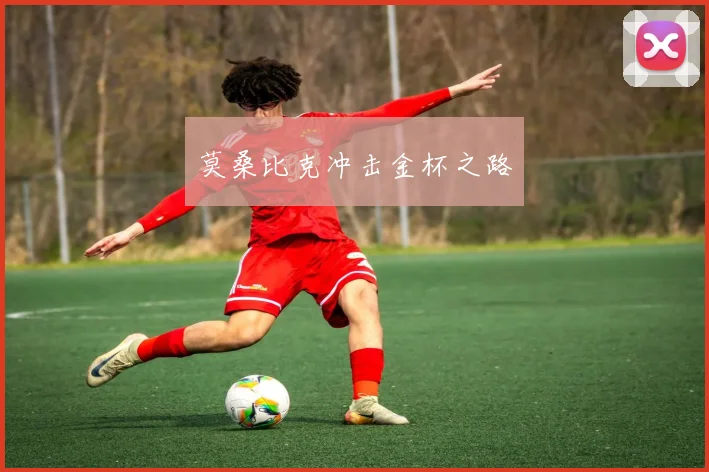莫桑比克冲击金杯之路