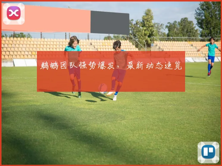 鹈鹕团队强势爆发，最新动态速览