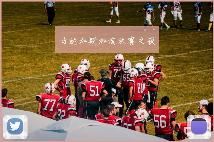 马达加斯加淘汰赛之夜