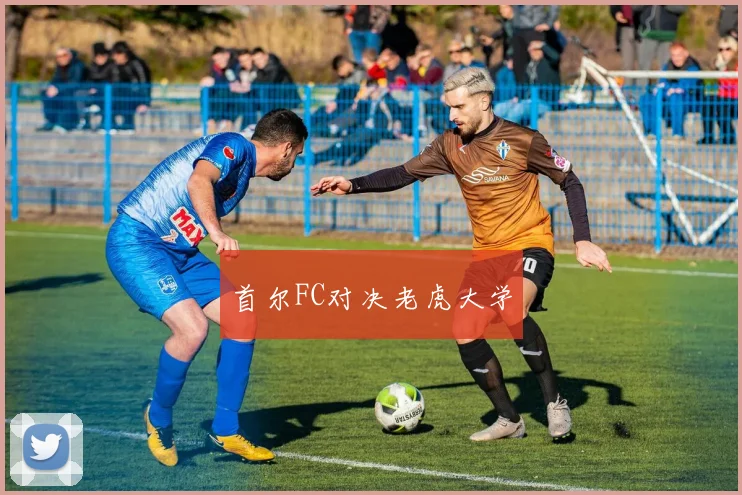 首尔FC对决老虎大学