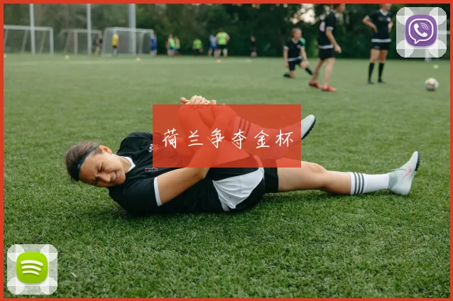 荷兰争夺金杯