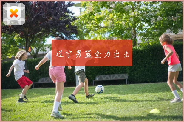 辽宁男篮全力出击