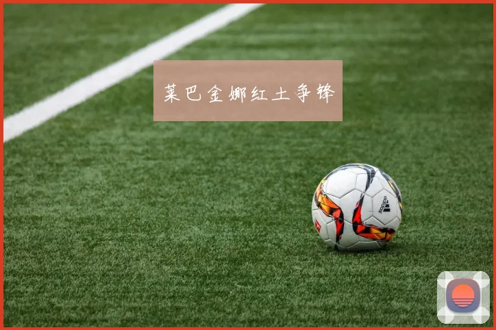 莱巴金娜红土争锋