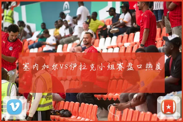 塞内加尔vs伊拉克小组赛盘口热度