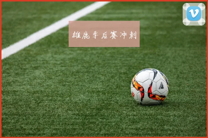 雄鹿季后赛冲刺