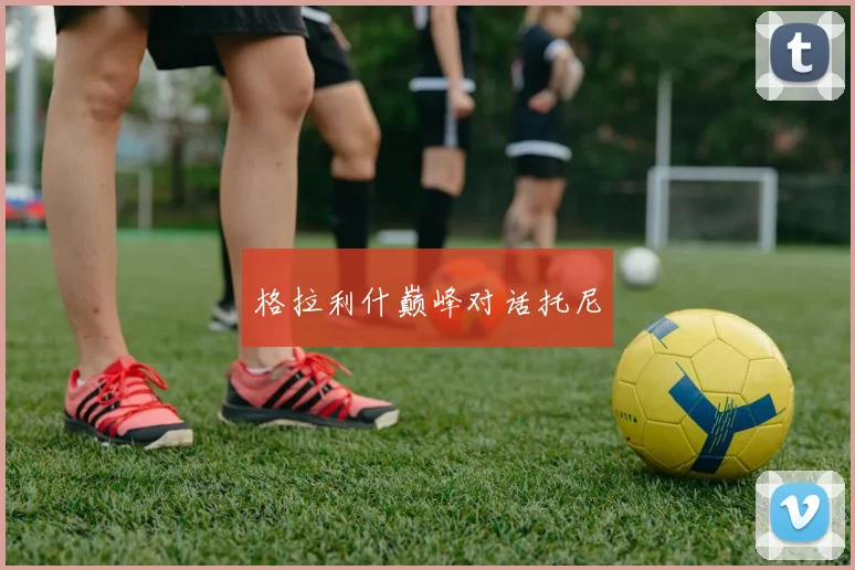格拉利什巅峰对话托尼