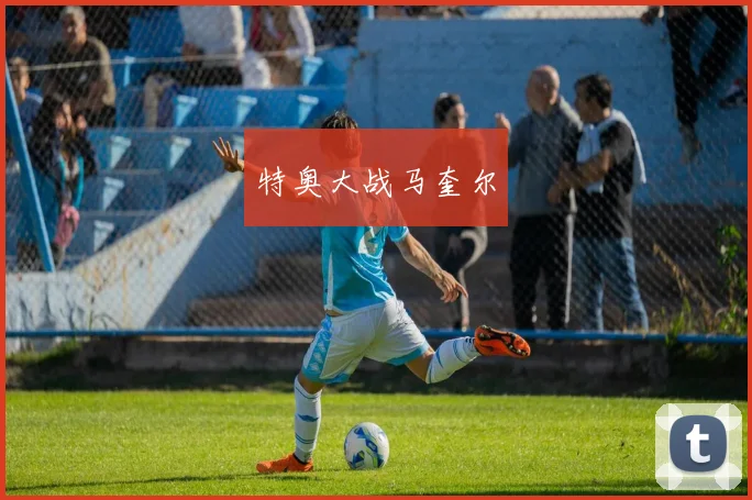 特奥大战马奎尔