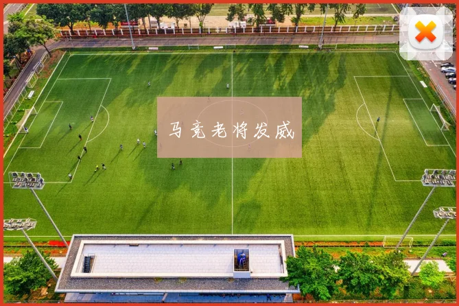 马竞老将发威