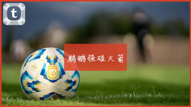 鹈鹕强碰火箭