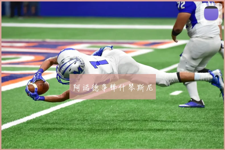 阿诺德争锋什琴斯尼