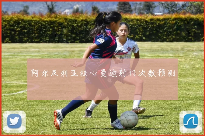 阿尔及利亚核心曼迪射门次数预测