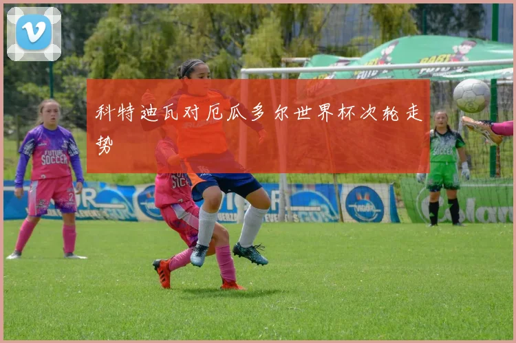 科特迪瓦对厄瓜多尔世界杯次轮走势