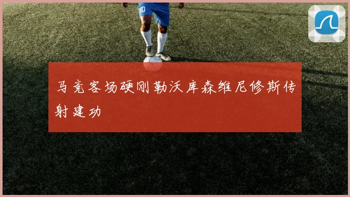 马竞客场硬刚勒沃库森维尼修斯传射建功