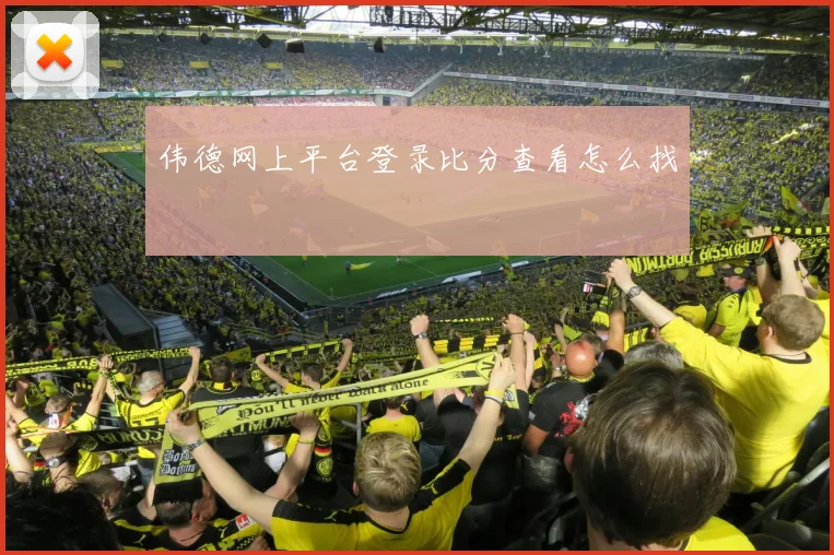 伟德网上平台登录比分查看怎么找