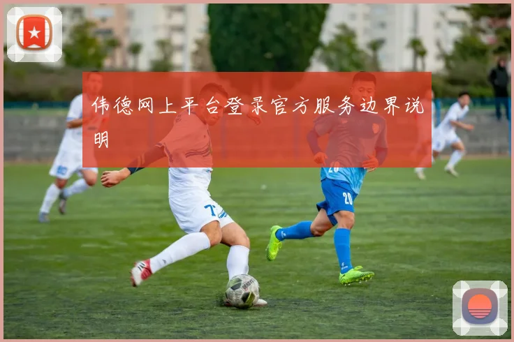 伟德网上平台登录官方服务边界说明