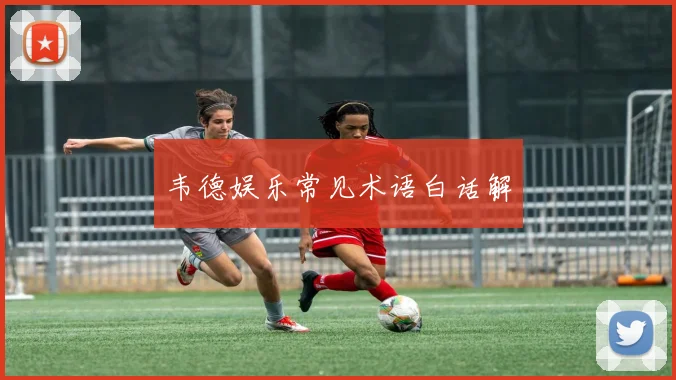 韦德娱乐常见术语白话解